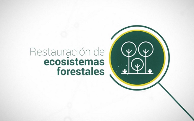 Restauración de ecosistemas forestales