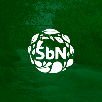 Tejedoras interculturales de Entreríos recuperan prácticas