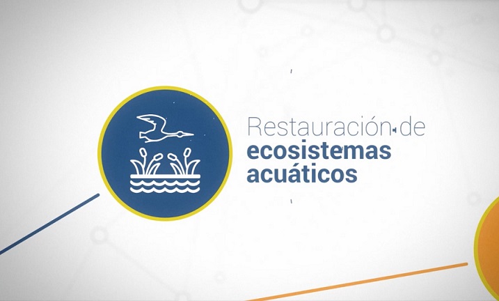 Restauración de ecosistemas acuáticos