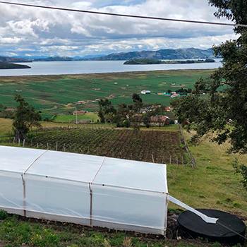 Adaptación al cambio climático con cosecha de agua en el lago más grande de Colombia