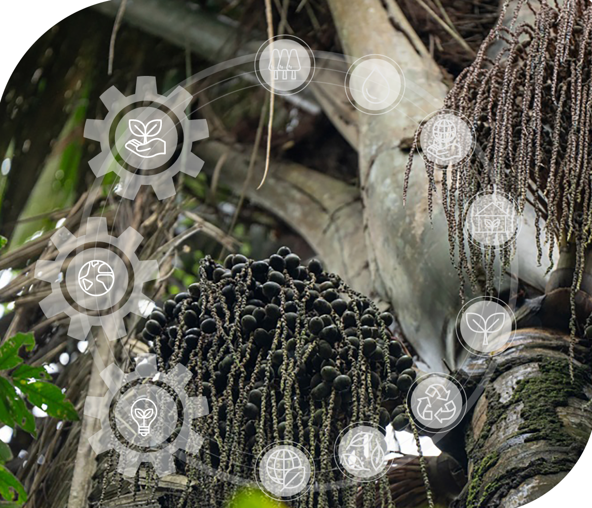 Biodiversidad de Colombia