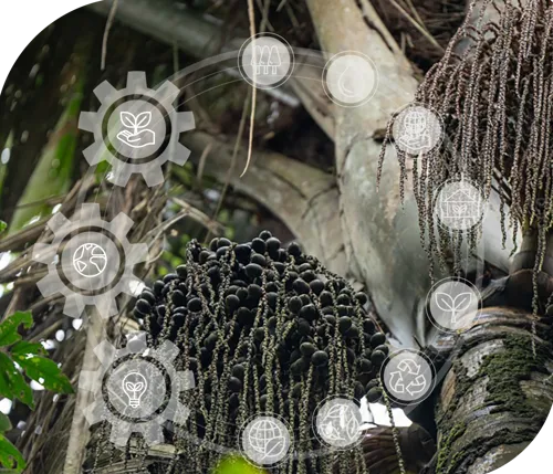 Biodiversidad de Colombia
