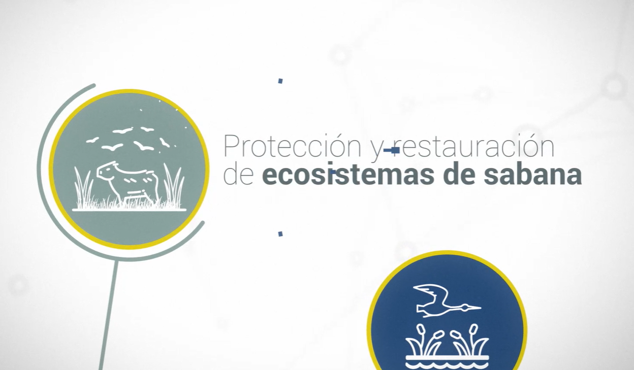 Protección y restauración de ecosistemas de sabanas