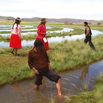 img-Suka Kollus: técnica milenaria para gestionar inundaciones y sequías en el El Alto y La Paz