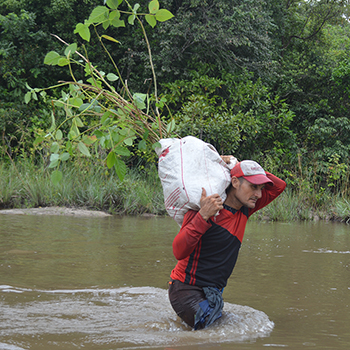 Morichales de Vida: una experiencia en las sabanas de Arauca