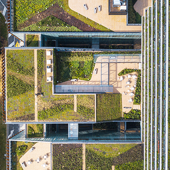 Clínica El Bosque: arquitectura verde para la curación y sanación