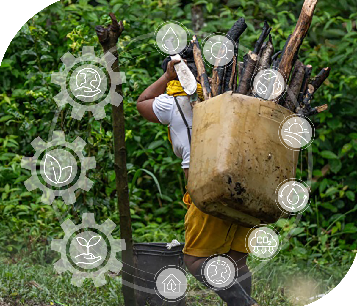 Bioeconomía y naturaleza