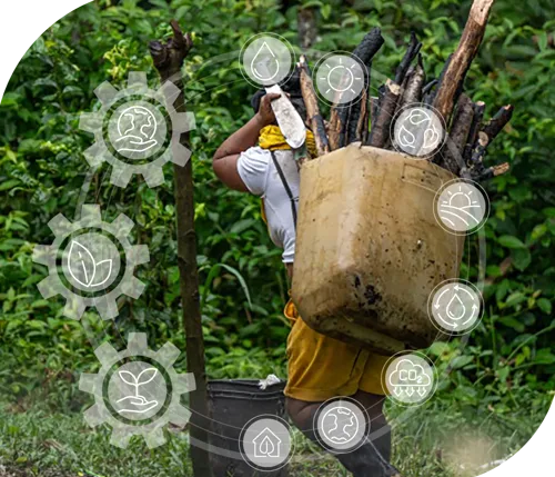 Bioeconom&iacute;a y naturaleza