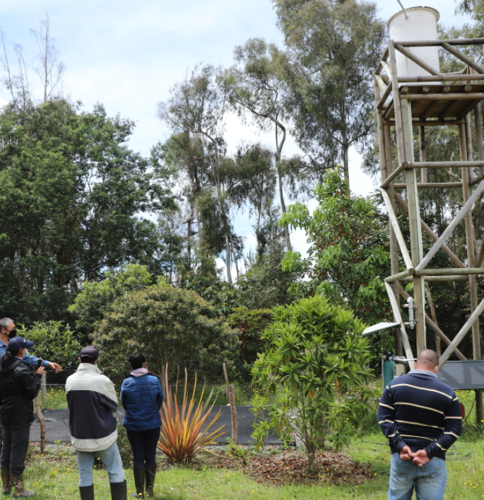 Técnicas ancestrales para cosechar agua y abastecer a las comunidades de la parroquía Manglaralto en Ecuador
