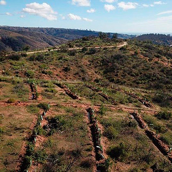 Zanjas de infiltración para aprovechar la escorrentía en el parque de las aguas en Viña del Mar