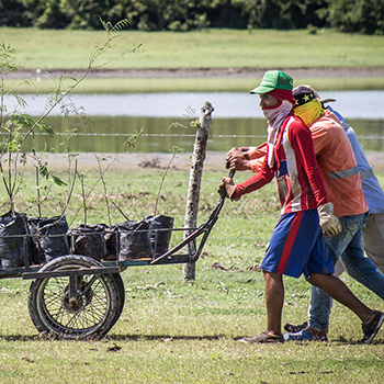 Adaptación basada en ecosistemas en el Magdalena Medio en Colombia