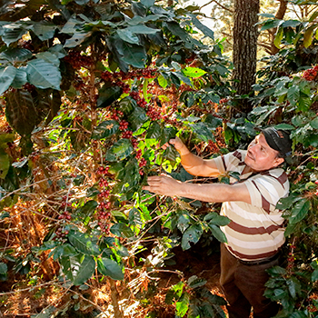 Raíces: agricultura restaurativa en ecosistemas críticos en El Salvador