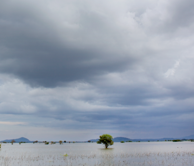 Programa de conservación de humedales altoandinos en Latinoamérica y el Caribe
