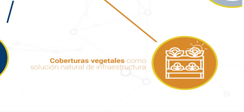 Coberturas vegetales como solución natural de infraestructura