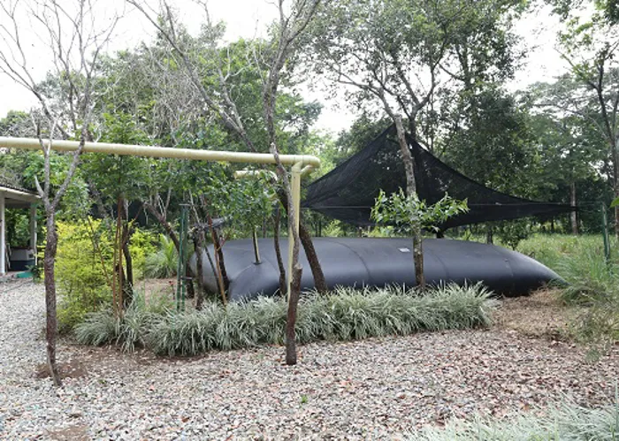 img-Cosecha de agua