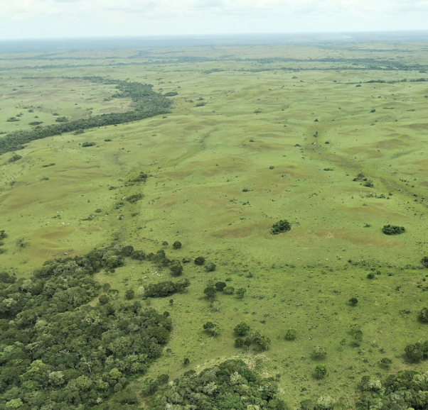 Prácticas de manejo sostenible del suelo en sabana inundable en Casanare