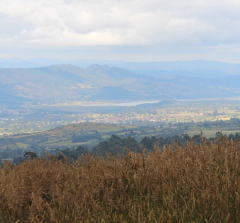 De experiencia de restauración a inspiración del turismo como solución en Brasil