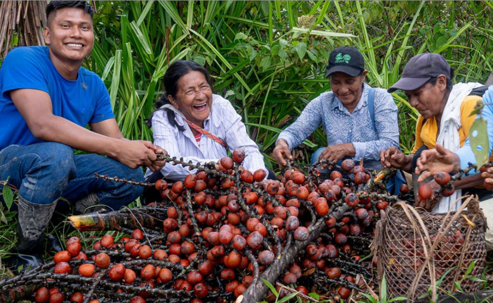 KABURE: juventud, bosque y tradición que dan vida a la bioeconomía 