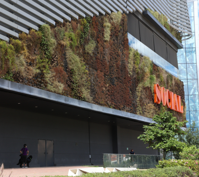 Una piel natural para Bogotá: estrategia para la implementación de techos verdes