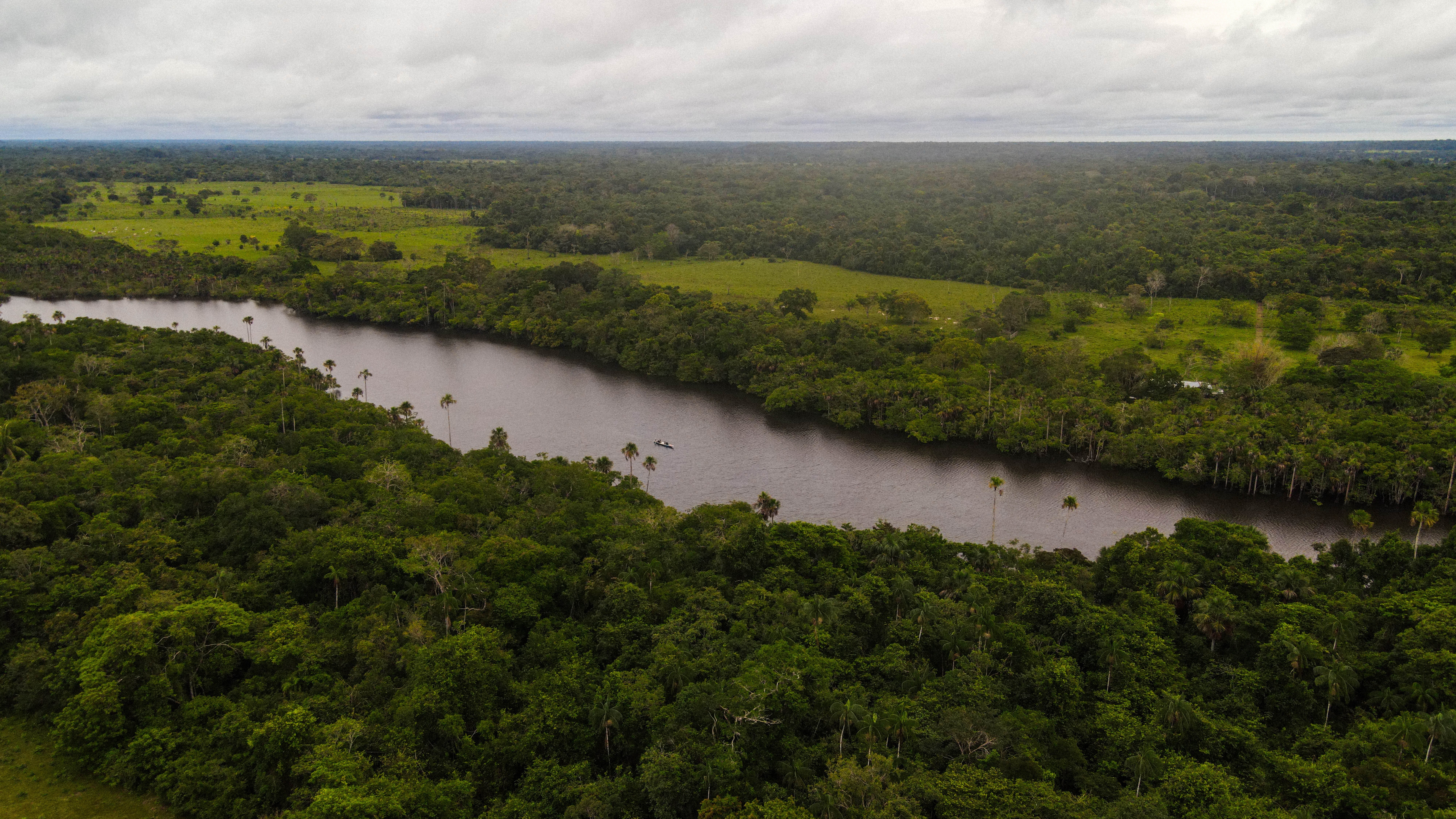 img-Manejo forestal sostenible comunitario – maderables