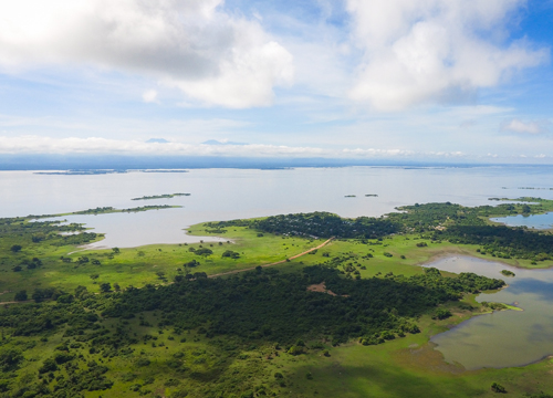 img-Restauración de ecosistemas acuáticos