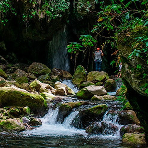 Sierra Gorda Ecotours: neutralidad en carbono con ayuda de la naturaleza