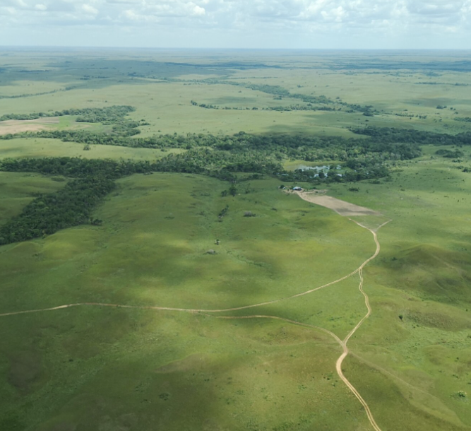 Restauración de humedales para la sustentabilidad de la ganadería familiar en Uruguay.
