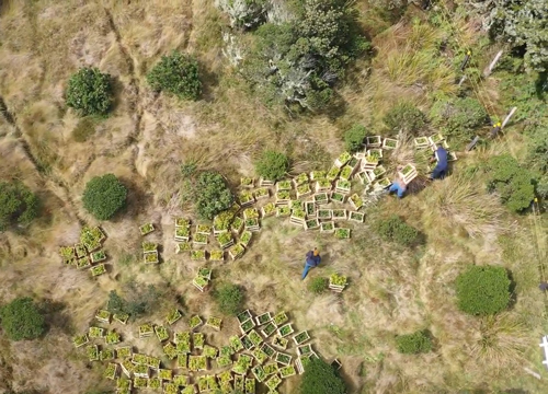 img-Restauración de ecosistemas forestales