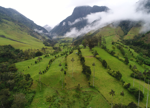 img-Restauración de la conectividad del paisaje agropecuario