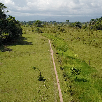img-Conexiones que revitalizan el paisaje Amazónico en el Caquetá