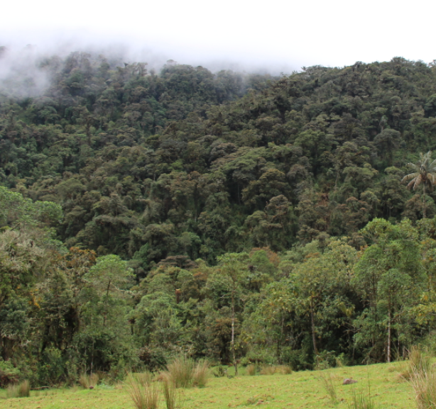 img-Ecoturismo comunitario pionero en Colombia y reconocido internacionalmente