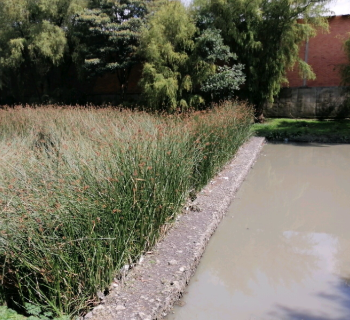 Cuencas de captación de lluvias torrenciales en Dinamarca