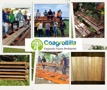 Manejo Forestal Sostenible Comunitario de la Cooperativa Multiactiva agroforestal del Itilla COAGROITILLA - Calamar, Guaviare Colombia (Núcleo de Desarrollo Forestal Los Puertos)