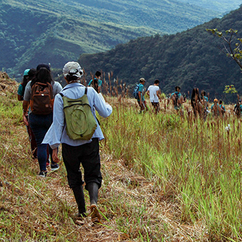 Restauración de bosque y tejido social en Yopal